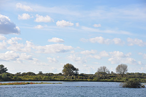 vaarwater van waterritme